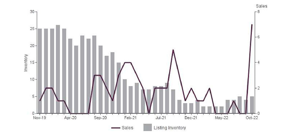 Listing Inventory and Number of Sales